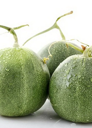 Emerald Melon Seeds