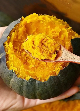 🎃Kabocha Pumpkin Seeds