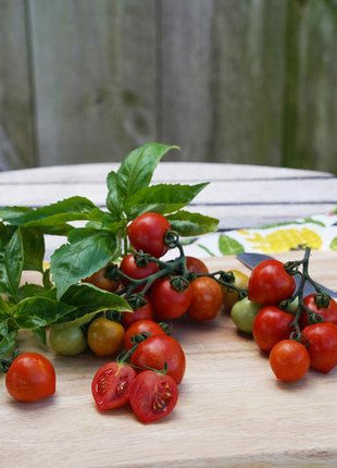 Tempting Tomatoes - Goodhearted
