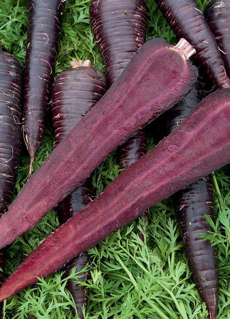 Pusa Asita Black Carrot