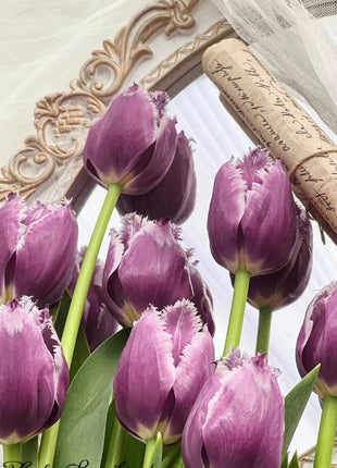 Bonsai Rare Color Tulip Seeds