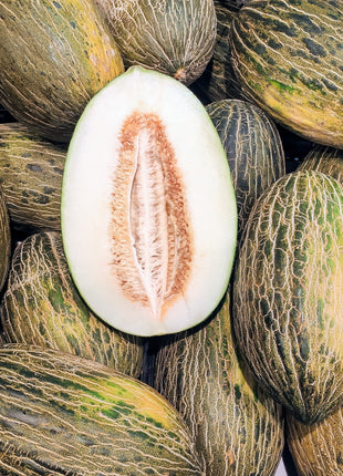 Piel De Sapo Melon