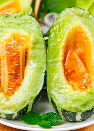 Honey Rock Melon Seeds Muskmelon Seeds