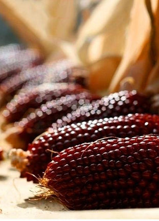 Egrow 50Pcs/Pack Jackfruit Strawberry Seeds Garden Plants Fruit Seeds