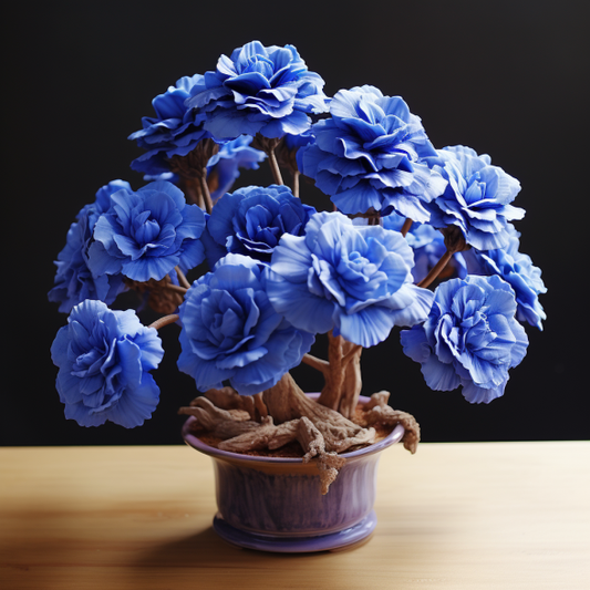 2 Pcs Rainbow Desert Rose Seeds