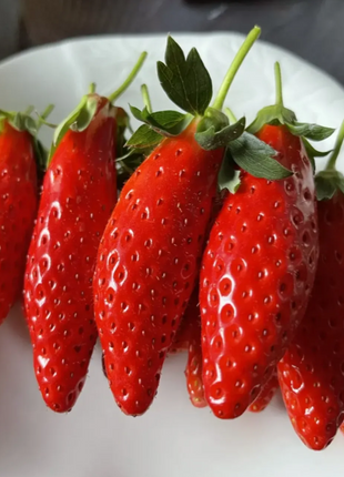 Rare Chili Strawberry Fruits Seeds