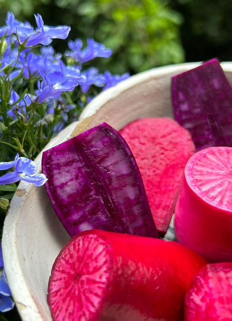 Pineapple Fruit Radish Seeds🥕