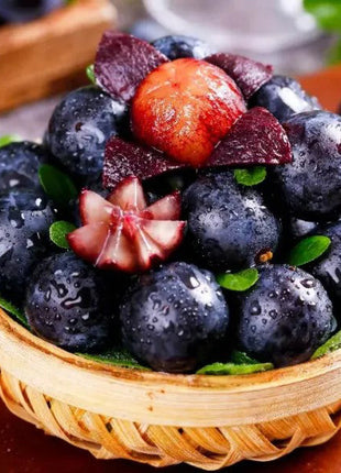 Giant Grape Tree Seeds: Thin-Skinned, Large, and Seedless 🍇🌿