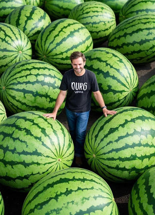 Giant Watermelons Seeds