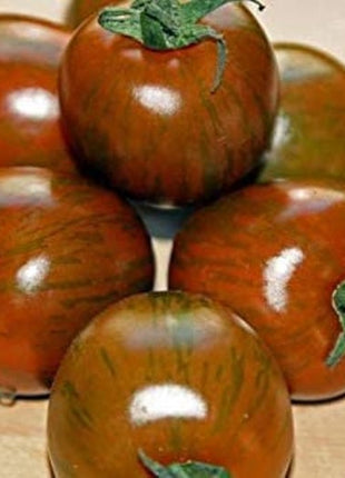 Rare Organic Vegetable Tomato Seeds "Black Zebra" (Lycopersicon esculentum Mill)