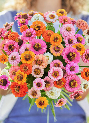 🌺Double Dwarf Zinnia Seeds