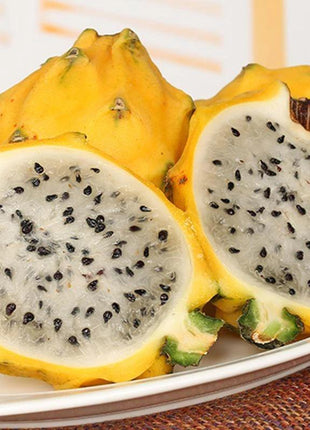 Egrow 50 Pcs/Pack Yellow Pitahaya Seeds Dragon Fruit Hylocereus Undatus Fruit Seeds