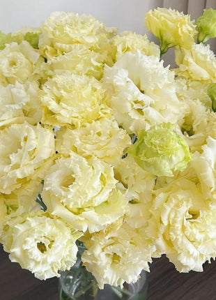 🌺Lisianthus – Sincere Love