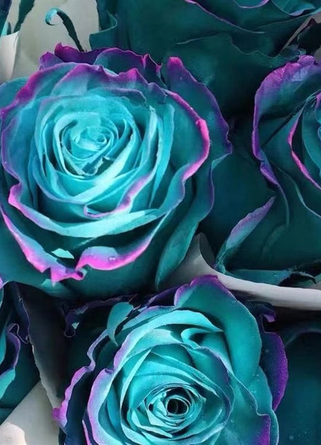 Rare Emerald Oz Rose Seeds