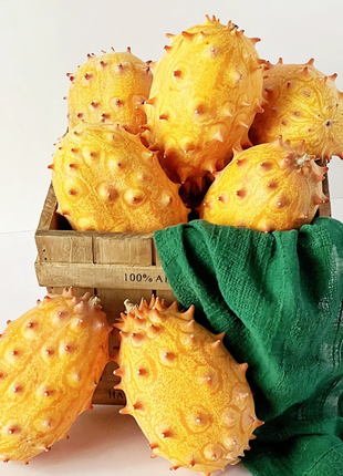 Fire Ginseng Fruit Seeds