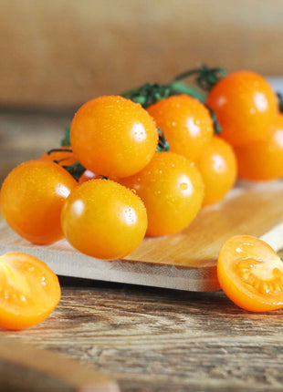 Patio Choice Yellow Cherry Tomato Seeds
