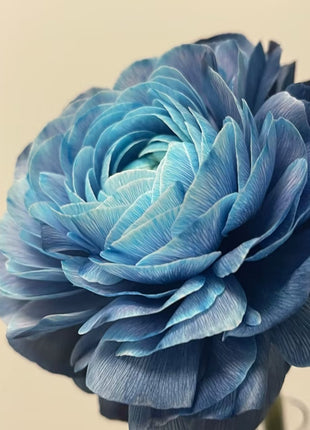 Midnight Blue Scottish Green Peony Seeds