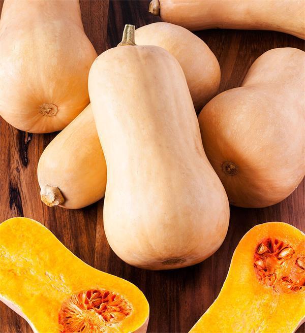 Squash Organic Seed