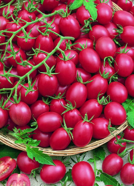 Tomato Cherry Pink Grape