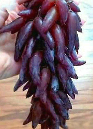 Advanced Finger Grape Fruit Seeds