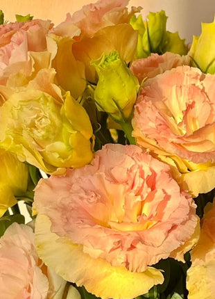 🌺Lisianthus – Sincere Love