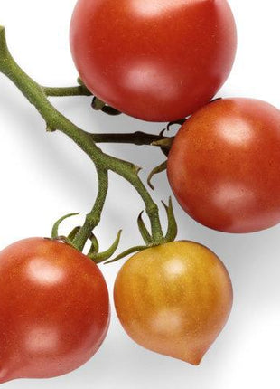 Tempting Tomatoes - Goodhearted