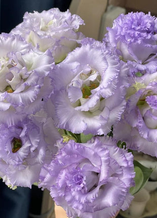 🌺Lisianthus – Sincere Love