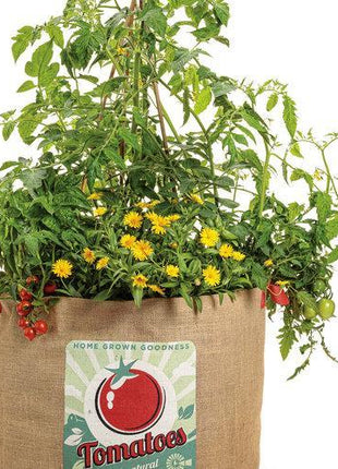 Tempting Tomatoes - Goodhearted