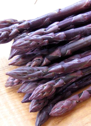 Purple Passion Seeds