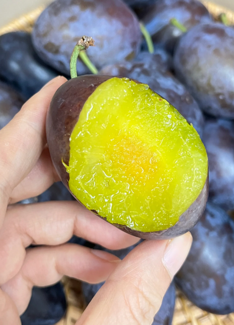 Blue Honey Prune Seeds