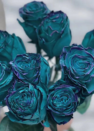 Rare Emerald Oz Rose Seeds