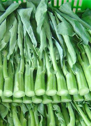 Chinese Kale Seeds