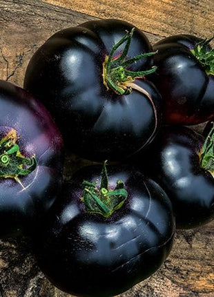 Giant Black Beauty Tomato