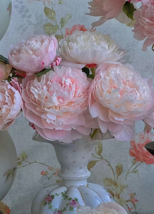 Paeonia Lactiflora Bonsai Plant Home Garden