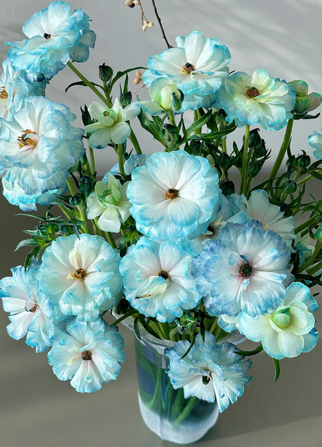 Light Blue Butterfly Peony Flower