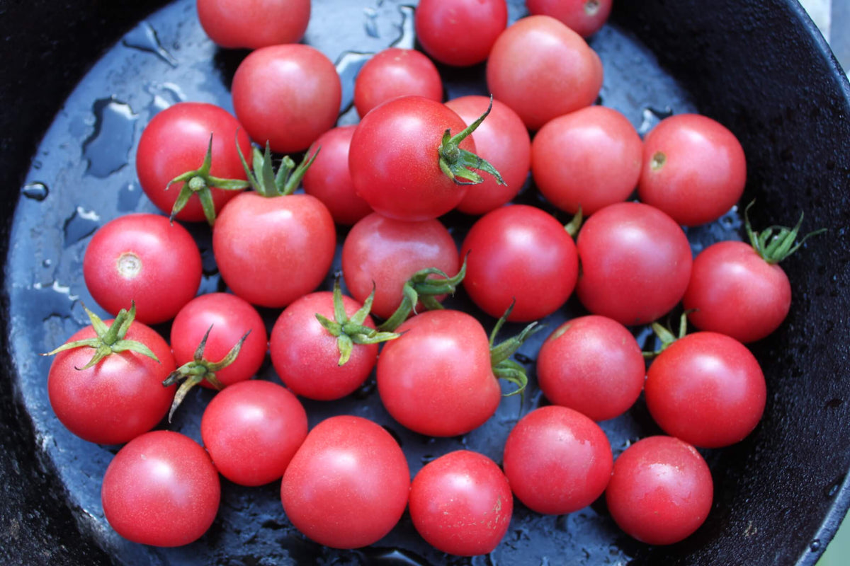 Tomato Cherry Pink Grape
