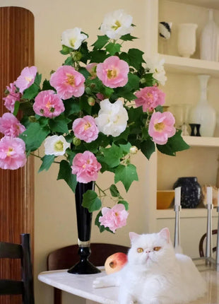 🌸Drunken Hibiscus - Changes Color Three Times a Day