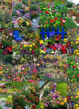 Mixed Perennial Flowers Seeds-Over 80 kinds mixed