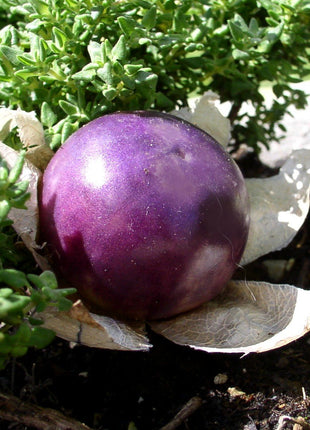 Purple Tomatillo Seeds - Non GMO