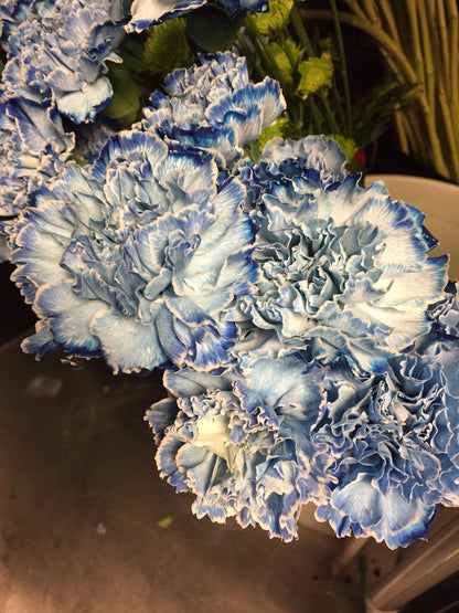 Mixed Color Carnations