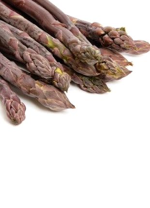 Purple Passion Seeds