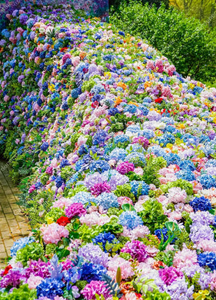 💐Endless Summer Hydrangea Falls