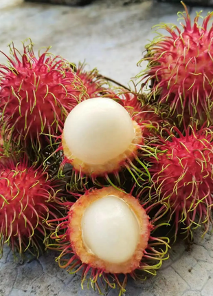Garden Red Rambutan Fruit Seeds