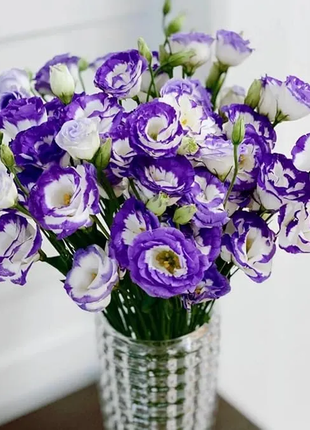 💐Lisianthus - A Sincere and Immutable Love
