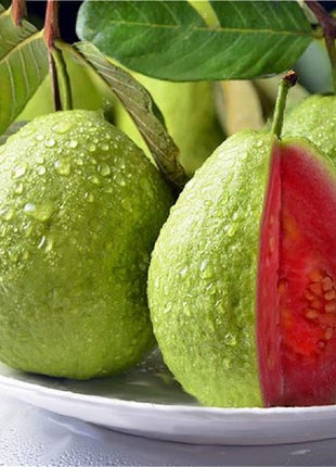 Tropical Strawberry Guava Organic Pink Guava Seeds