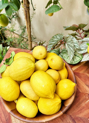 🍋Perfume Lemon Seeds