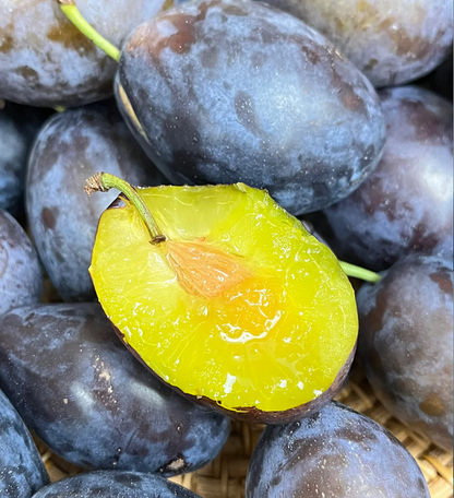 Blue Honey Prune Seeds