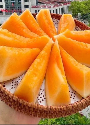 Reticulated Cantaloupe Seeds