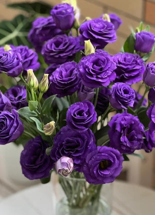 🌺Lisianthus – Sincere Love