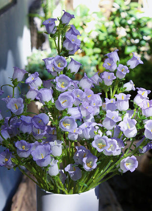 Bellflower Seeds/Canterbury Bells Seeds